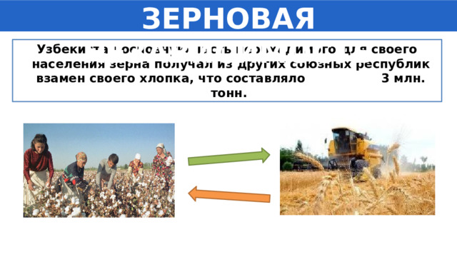 ЗЕРНОВАЯ НЕЗАВИСИМОСТЬ Узбекистан основную часть необходимого для своего населения зерна получал из других союзных республик взамен своего хлопка, что составляло 3 млн. тонн. 