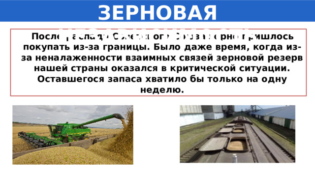 ЗЕРНОВАЯ НЕЗАВИСИМОСТЬ  После распада Советского Союза зерно пришлось покупать из-за границы. Было даже время, когда из-за неналаженности взаимных связей зерновой резерв нашей страны оказался в критической ситуации. Оставшегося запаса хватило бы только на одну неделю. 