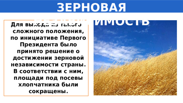 ЗЕРНОВАЯ НЕЗАВИСИМОСТЬ Для выхода из такого сложного положения, по инициативе Первого Президента было принято решение о достижении зерновой независимости страны. В соответствии с ним, площади под посевы хлопчатника были сокращены. 