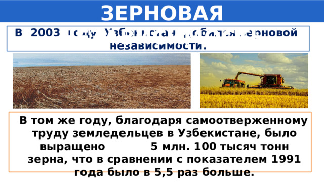 ЗЕРНОВАЯ НЕЗАВИСИМОСТЬ В 2003 году Узбекистан добился зерновой независимости.  В том же году, благодаря самоотверженному труду земледельцев в Узбекистане, было выращено 5 млн. 100 тысяч тонн зерна, что в сравнении с показателем 1991 года было в 5,5 раз больше. 