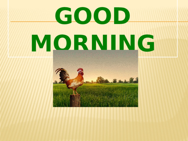  Good morning 