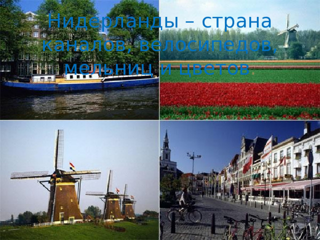Нидерланды – страна каналов, велосипедов, мельниц и цветов .    