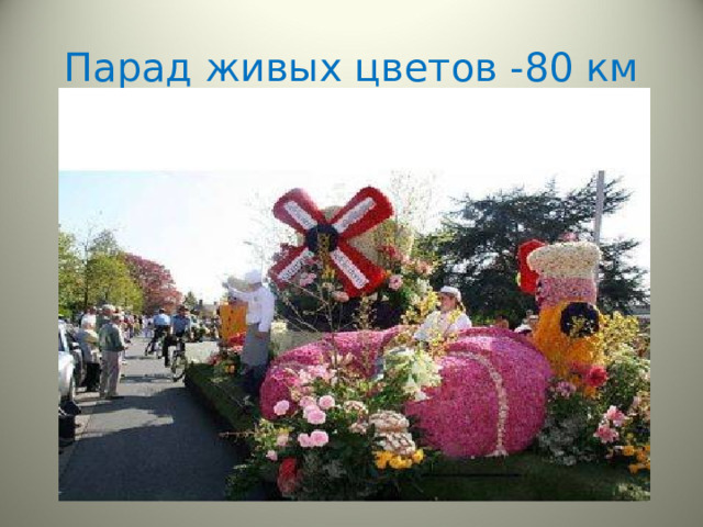 Парад живых цветов -80 км 