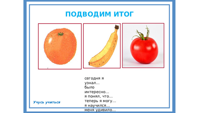 ПОДВОДИМ ИТОГ сегодня я узнал…  было интересно…  я понял, что…  теперь я могу…  я научился…  меня удивило… Учусь учиться 