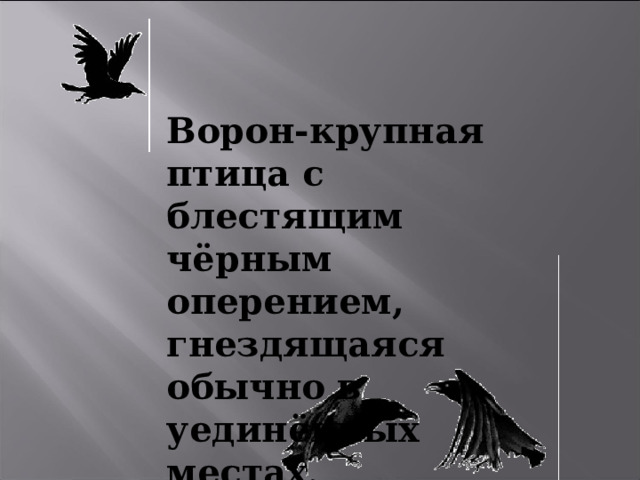 Ворон-крупная птица с блестящим чёрным оперением, гнездящаяся обычно в уединённых местах . 
