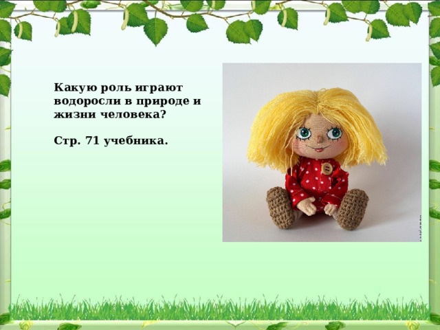 Какую роль играют водоросли в природе и жизни человека? Стр. 71 учебника. 
