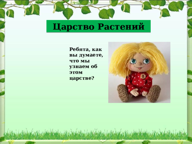 Царство Растений Ребята, как вы думаете, что мы узнаем об этом царстве? 