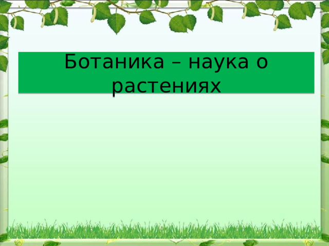 Ботаника – наука о растениях 