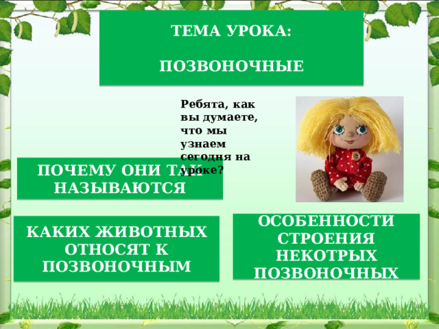 ТЕМА УРОКА:  ПОЗВОНОЧНЫЕ Ребята, как вы думаете, что мы узнаем сегодня на уроке? ПОЧЕМУ ОНИ ТАК НАЗЫВАЮТСЯ ОСОБЕННОСТИ СТРОЕНИЯ НЕКОТРЫХ ПОЗВОНОЧНЫХ КАКИХ ЖИВОТНЫХ ОТНОСЯТ К ПОЗВОНОЧНЫМ 