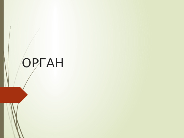 ОРГАН 