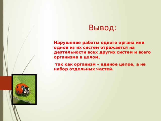 Вывод: Нарушение работы одного органа или одной из их систем отражается на деятельности всех других систем и всего организма в целом,  так как организм – единое целое, а не набор отдельных частей. 