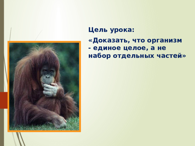 Цель урока: «Доказать, что организм - единое целое, а не набор отдельных частей» 