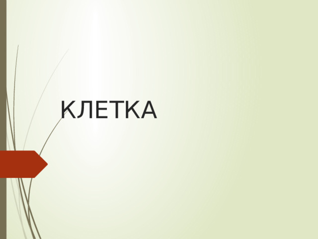 КЛЕТКА 