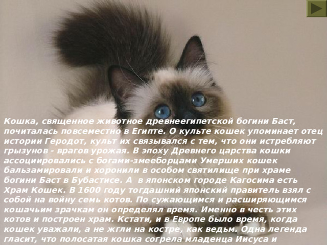 Кошка, священное животное древнеегипетской богини Баст, почиталась повсеместно в Египте. О культе кошек упоминает отец истории Геродот, культ их связывался с тем, что они истребляют грызунов - врагов урожая. В эпоху Древнего царства кошки ассоциировались с богами-змееборцами Умерших кошек бальзамировали и хоронили в особом святилище при храме богини Баст в Бубастисе. А в японском городе Кагосима есть Храм Кошек. В 1600 году тогдашний японский правитель взял с собой на войну семь котов. По сужающимся и расширяющимся кошачьим зрачкам он определял время. Именно в честь этих котов и построен храм. Кстати, и в Европе было время, когда кошек уважали, а не жгли на костре, как ведьм. Одна легенда гласит, что полосатая кошка согрела младенца Иисуса и заслужила благодарность Девы Марии.  
