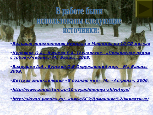  Большая энциклопедия Кирилла и Мефодия на 10 CD дисках  Куревина О.А., Лутцева Е.А. Технология. «Прекрасное рядом с тобой»Учебник.- М.: Баласс, 2008.  Вахрушев А.А., Бурский О.В Окружающий мир. – М.: Баласс, 2009.  Детская энциклопедия «Я познаю мир» М., «Астрель», 2006.  http://www.zoopicture.ru/10-svyashhennyx-zhivotnyx/  http://slovari.yandex.ru/~книги/БСЭ/Домашние%20животные/  