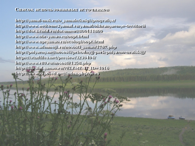 Список использованных источников  http://yamal-msk.ru/o_yamale/knigi/geografiya/ http://www.welcome2yamal.ru/yamal/okhranyaemye-territorii http://docs.cntd.ru/document/800111800 http://www.obr-yanao.ru/oopt.html http://www.upryanao.ru/ecologi/oopt.html http://www.admmuji.ru/novosti_yanao/1767.php http://polyarny.net/novosti/prirodnyjj-park-polyarno-uralskijj/ https://studfiles.net/preview/3239494/ http://www.r89.ru/novosti/1358.php http://lib-shd.yanao.ru/?ELEMENT_ID=1016 http://www.zapoved.net/index.php/News 