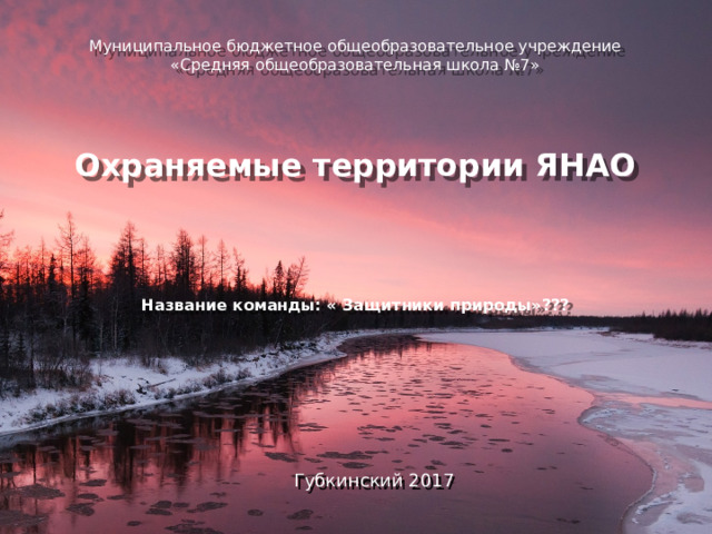 Муниципальное бюджетное общеобразовательное учреждение  «Средняя общеобразовательная школа №7»       Охраняемые территории ЯНАО     Название команды: « Защитники природы»??? Губкинский 2017 