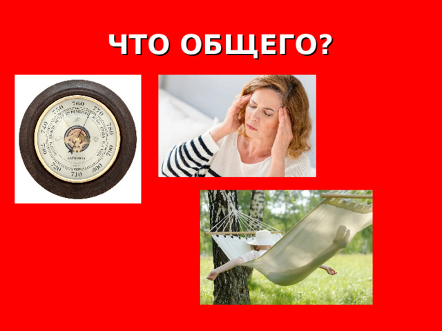 ЧТО ОБЩЕГО? 