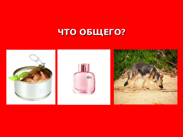 ЧТО ОБЩЕГО?  