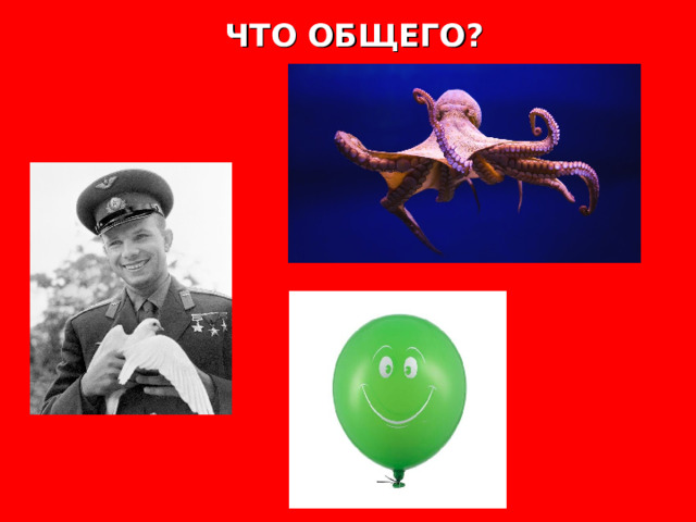 ЧТО ОБЩЕГО? 