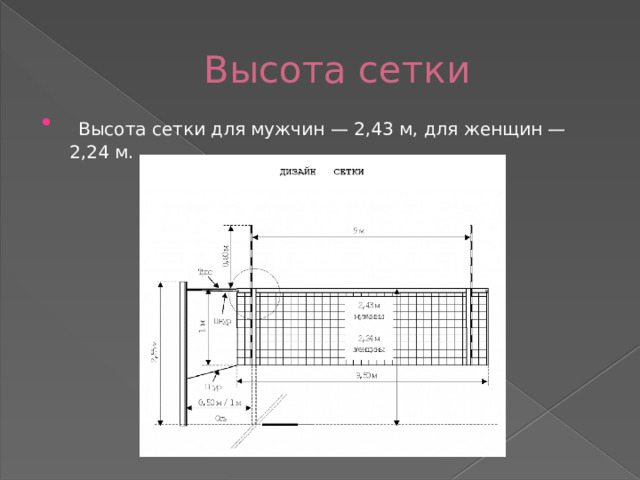Высота сетки  Высота сетки для мужчин — 2,43 м, для женщин — 2,24 м. 