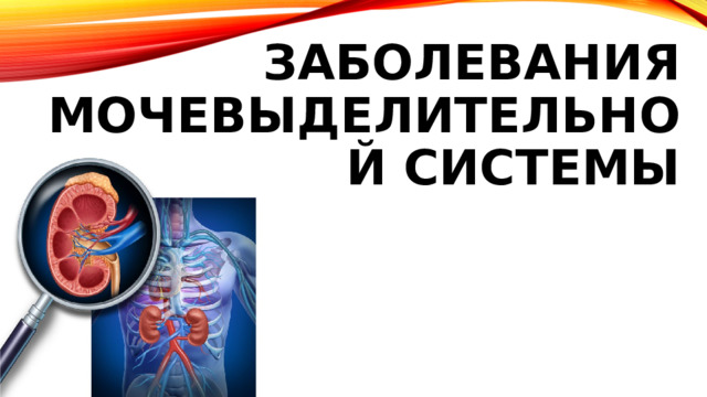 Заболевания мочевыделительной системы 
