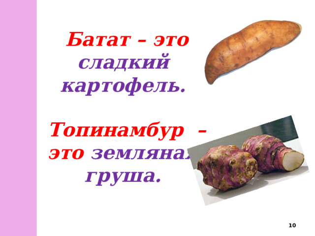 Батат – это сладкий картофель.                 Топинамбур – это земляная груша.     