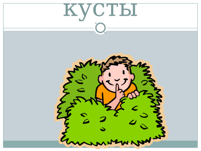 кусты 