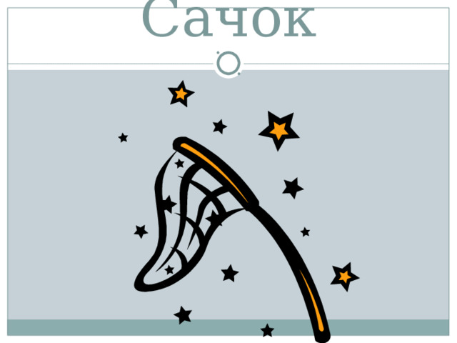Сачок 