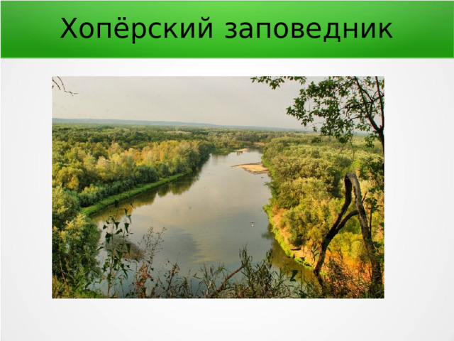 Хопёрский заповедник 