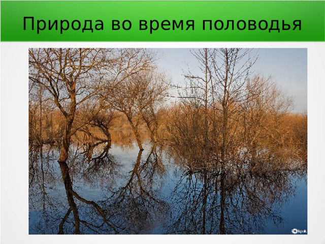 Природа во время половодья 