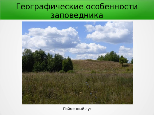 Географические особенности заповедника Пойменный луг 