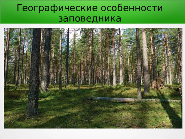 Географические особенности заповедника 