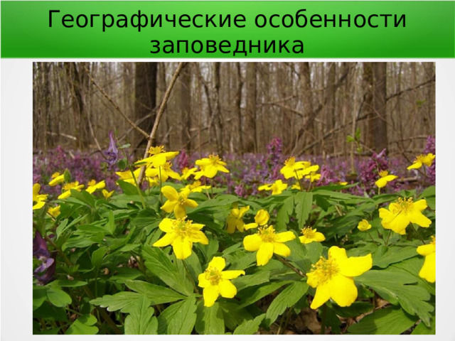 Географические особенности заповедника 