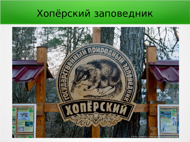 Хопёрский заповедник 