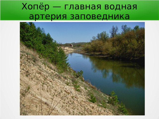 Хопёр — главная водная артерия заповедника 