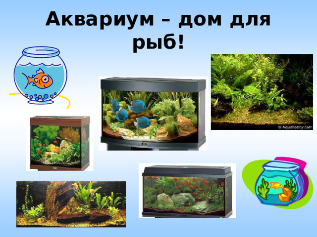 Аквариум – дом для рыб! 