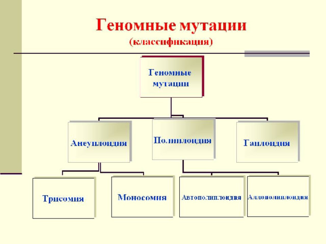  Геномные мутации 