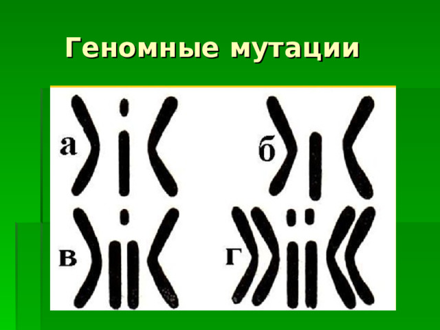  Геномные мутации 