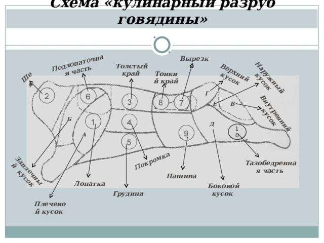 Заплечный кусок Шея Покромка Подлопаточная часть Внутренний кусок Верхний кусок Наружный кусок Схема «кулинарный разруб говядины» Вырезка Толстый край Тонкий край Г В Е Б Д 10 А Тазобедренная часть Пашина Лопатка Боковой кусок Грудина Плечевой кусок 