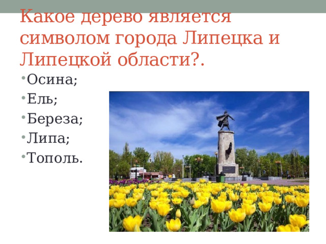Какое дерево является символом города Липецка и Липецкой области?. Осина; Ель; Береза; Липа; Тополь. 
