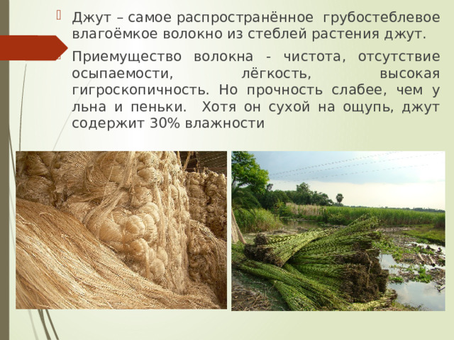 Джут – самое распространённое грубостеблевое влагоёмкое волокно из стеблей растения джут. Приемущество волокна - чистота, отсутствие осыпаемости, лёгкость, высокая гигроскопичность. Но прочность слабее, чем у льна и пеньки. Хотя он сухой на ощупь, джут содержит 30% влажности 