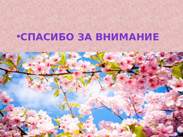 Спасибо за внимание 