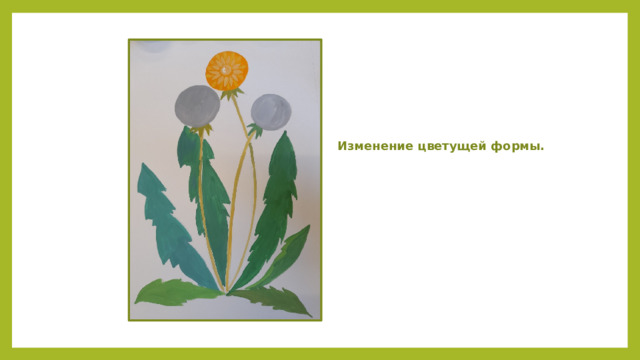 Изменение цветущей формы. 