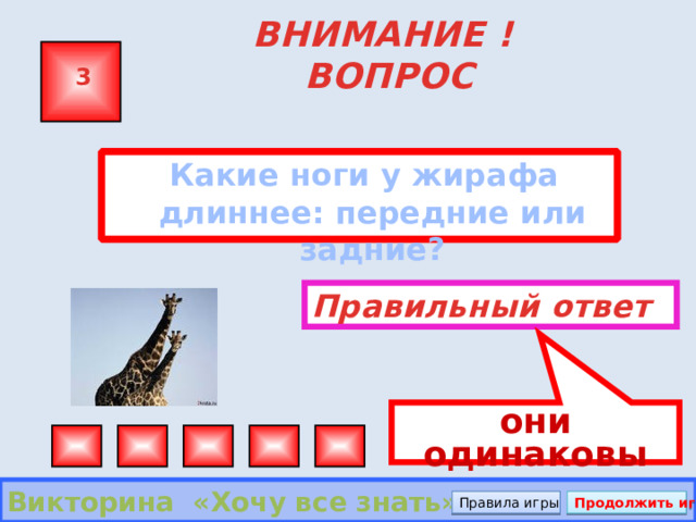 они одинаковы   ВНИМАНИЕ ! ВОПРОС 3  Какие ноги у жирафа длиннее: передние или задние?  Правильный ответ Викторина «Хочу все знать» Правила игры Продолжить игру 