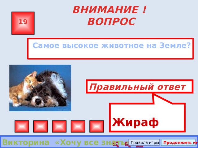 Жираф 5,5 м ВНИМАНИЕ ! ВОПРОС 19  Самое высокое животное на Земле?  Правильный ответ Викторина «Хочу все знать» Правила игры Продолжить игру 