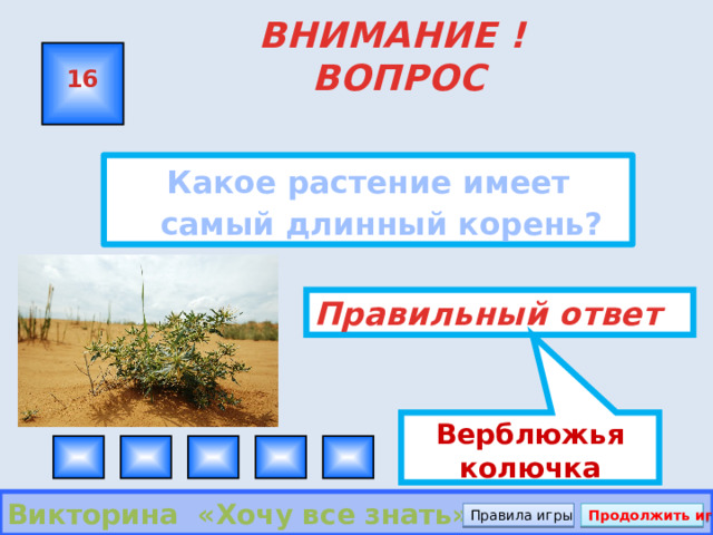 Верблюжья колючка ВНИМАНИЕ ! ВОПРОС 16 Какое растение имеет самый длинный корень?  Правильный ответ Викторина «Хочу все знать» Правила игры Продолжить игру 