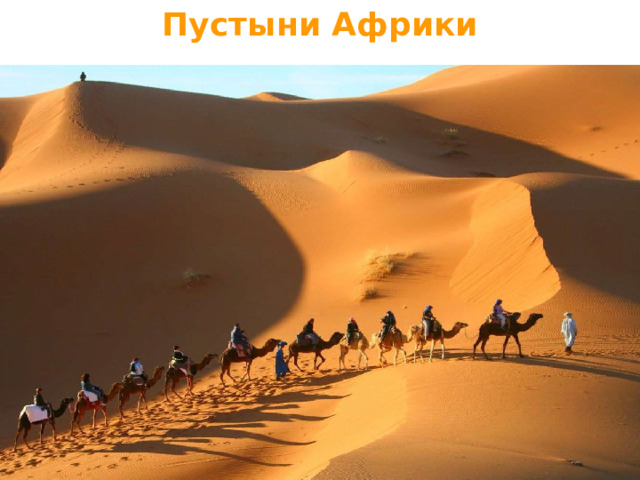 Пустыни Африки 