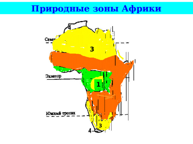 Природные зоны Африки 3 1 