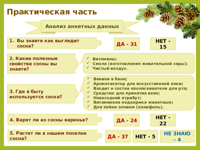 Практическая часть Анализ анкетных данных ДА - 31 Вы знаете как выглядит сосна? НЕТ - 15 Витамины; Смола (изготовление жевательной серы); Чистый воздух. 2. Какие полезные свойства сосны вы знаете? Веники в бане; Ароматизатор для искусственной елки; Входит в состав ополаскивателя для рта; Средство для принятия ванн; Новогодний атрибут; Витаминная подкормка животным; Для пайки оловом (канифоль). 3. Где в быту используется сосна? ДА - 24 НЕТ - 22 4. Варят ли из сосны варенье? 5. Растет ли в нашем поселке сосна? ДА - 37 НЕТ - 5 НЕ ЗНАЮ - 4 
